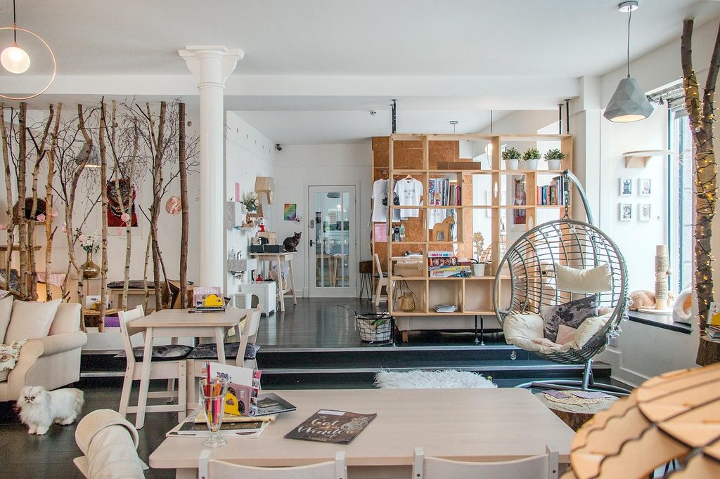 Un open space arredato con una libreria divisoria in legno, tavoli e una poltrona sospesa in un ambiente accogliente.